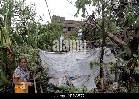 Kolkata, Inde. 21 mai 2020. Inde: Après le cyclone "Amphan", au moins 80 personnes sont mortes au Bengale occidental, selon le gouvernement de l'Etat. Au moins 5000 arbres ont été déracinés à Kolkata, 2500 arbres dans le lac salé. Personnes réparant temporairement le toit de leur maison. (Photo de Sudipta Pan/Pacific Press) crédit: Agence de presse du Pacifique/Alay Live News Banque D'Images