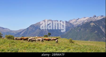 Cerler, Huesca/Espagne; 21 août 2017. Randonnée le long de la route des trois cascades d'Ardenones dans la ville de Cerler en été. Banque D'Images