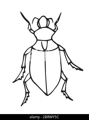 Vecteur de contour de bogue. Page de coloriage pour enfants. Collection de insectes exotiques.style de caniche dessiné à la main, isolé. Illustration de Vecteur