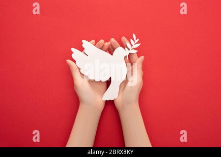 vue rognée d'une femme tenant une colombe blanche comme symbole de paix entre les mains sur fond rouge Banque D'Images