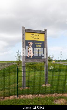 Le panneau à la fiducie Dogs, Sadberge, Darlington, Angleterre, Royaume-Uni Banque D'Images