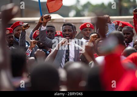 Le leader du ÔPeople PowerÕ, Bobi Wine, organise un rassemblement dans ses studios d'enregistrement après avoir assisté au tribunal le 24 2020 février à Kampala, en Ouganda. Il a demandé au juge de Ôconsider inconstitutionnel attemptsÕ par le gouvernement ougandais d'arrêter ses rassemblements politiques, que Wine a été forcé d'abandonner après qu'il a été arrêté et que les partisans lacrymogènes ont gazé plus tôt cette année. Bobi Wine, dont le vrai nom est Robert Kyagulanyi Ssentamu, est un popstar et un leader de l'opposition sous la campagne « People Power ». En juillet 2019, il a été annoncé qu'il allait prendre le président de longue date de l'Ouganda, Yoweri Museveni, dans le Banque D'Images