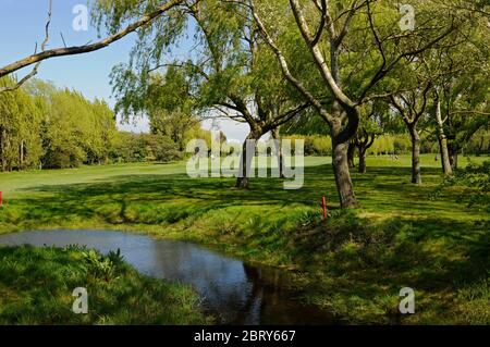 Vue sur le petit fossé jusqu'au fairway du 8th Hole, Thorpe Hall Golf Club, Southend-on-Sea, Essex, Angleterre Banque D'Images