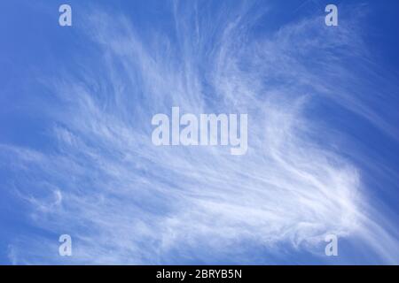 Nuage Cirrus Banque D'Images