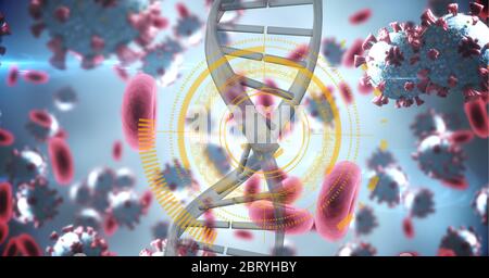 Composition numérique avec souche d'ADN et avec cellule rouge dans les cellules du coronavirus covid19 Banque D'Images