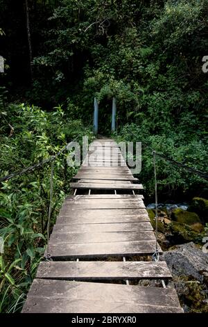 Promenade en bois menant vers les chutes Yumbilla près de la ville de Cuispes, région péruvienne du nord de l'Amazonas, la cinquième plus haute cascade du monde. Banque D'Images