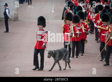 Préparatifs de la revue des généraux majeurs, 3 juin 2017, photographié du Queen Victoria Memorial, Londres, Royaume-Uni Banque D'Images