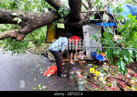 Kolkata, Inde. 21 mai 2020. Après le cyclone "Amphan", au moins 80 personnes sont mortes au Bengale occidental, selon le gouvernement de l'État. Au moins 5,000 arbres ont été déracinés et 2,500 arbres dans le lac salé de Kolkata, en Inde, le 21 mai 2020. Personnes réparant temporairement le toit de leur atelier. (Photo de Sudipta Pan/Pacific Press/Sipa USA) crédit: SIPA USA/Alay Live News Banque D'Images