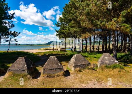 Blocs de béton de défense côtière antichar de la Seconde Guerre mondiale sur le chemin côtier de Fife à Ruddons point, Largo Bay, Fife , Écosse, Royaume-Uni Banque D'Images