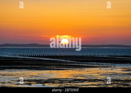 Coucher de soleil sur les lits d'huîtres de Whitstable avec l'île de Shepey en arrière-plan. Banque D'Images