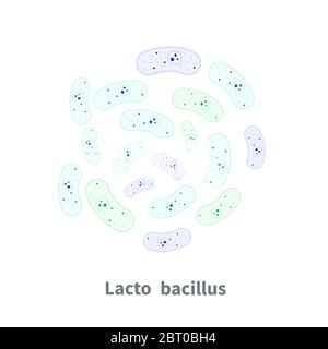 Lactobacillus probiotiques sur blanc Illustration de Vecteur