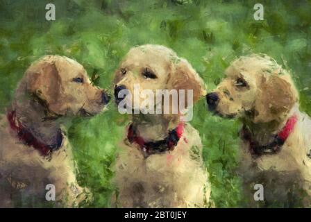 trois chiots de l'art mural golden retriever pappy Banque D'Images