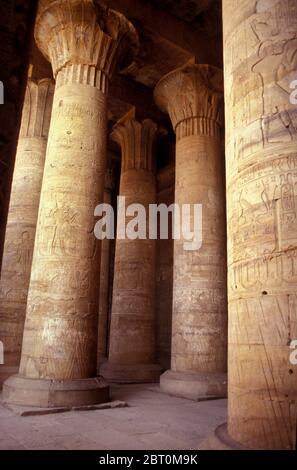 Le temple d'Edfou sur la rive occidentale du Nil à Edfou, Égypte, Afrique du Nord Banque D'Images