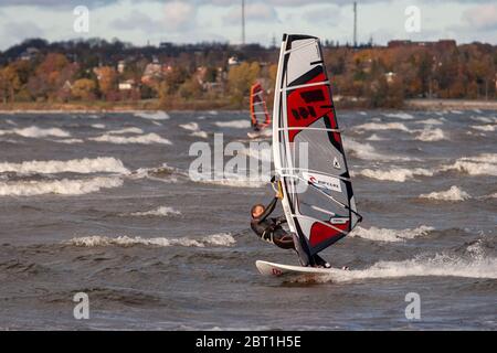 Tallinn, Estonie - 18 octobre 2008 : un windsurf en costume roule le long des vagues sur une planche à voile avec une forte pente par temps venteux. Banque D'Images