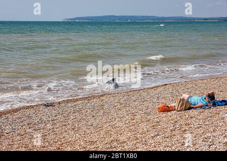 Une femme se bronzer sur une plage de galets à Camber Sands, East Sussex, Royaume-Uni, lors d'une chaude journée d'été tandis que son chien éclabousse dans la mer. Banque D'Images