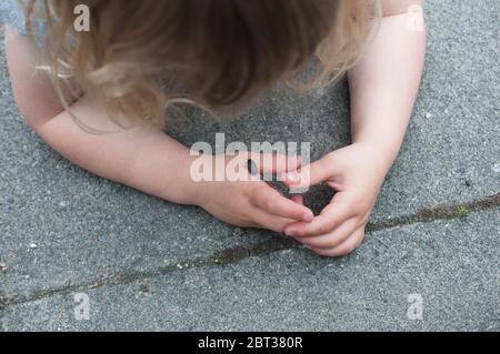 Un petit enfant regarde un insecte noir. Petite fille assise sur le sol de la chaussée explorant et apprenant sur la nature et les insectes. Autorisation du modèle. Banque D'Images