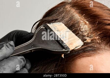 Un coiffeur teint un cheveu aux femmes par une brosse noire. Brunet changer une couleur de cheveux. Banque D'Images