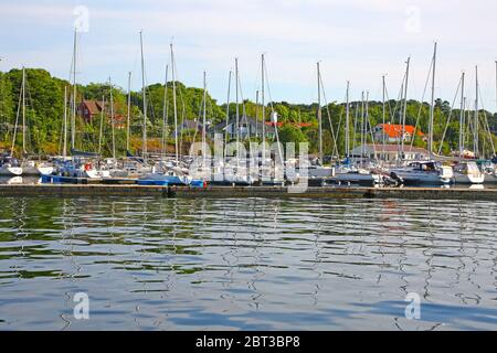 Stavanger Gjestehavn marina avec beaucoup de bateaux et yachts dans l'eau, et des arbres en arrière-plan, Stavanger, comté de Rogaland, Norvège. Banque D'Images