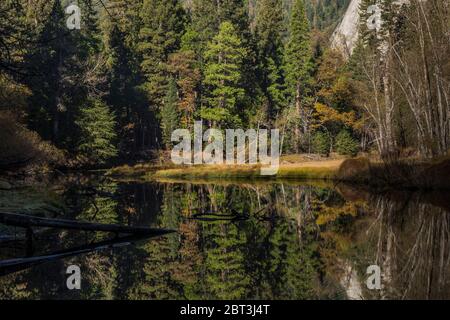 Une partie tranquille de la Merced River dans la Yosemite Valley, parc national de Yosemite, Californie, États-Unis Banque D'Images