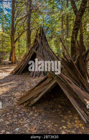 Maison en cèdre d'Encens, en couleur de calocedrus, en écorce écrasée de vignes par les Miwok dans la vallée de Yosemite, parc national de Yosemite, Califo Banque D'Images