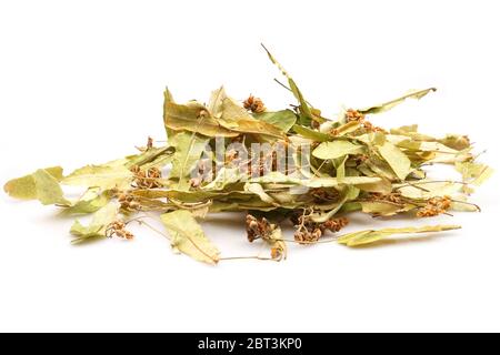 Fleurs de tilleul séchées bio sur fond blanc. Banque D'Images