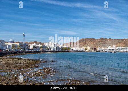 Le Mutrah Cornich à Muscat en Oman Banque D'Images