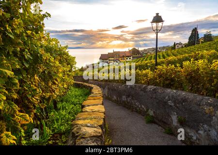Lavaux, Suisse: Lac Léman et hases suisses traditionnelles au coucher du soleil vu de Lavaux vignoble randonnée dans le canton Vaud Banque D'Images