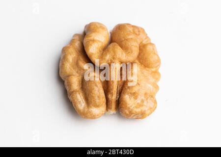 Noyer frais isolé sur fond blanc Banque D'Images