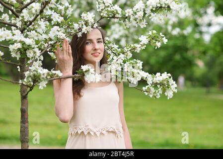 Une jeune femme vêtue d'une robe beige regarde le visionneuse entre les branches blanches en fleurs d'un arbre Apple en les tenant avec sa main Banque D'Images