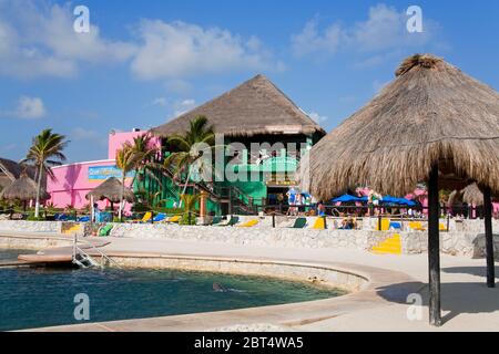 Piscine avec dauphins à Costa Maya, Quintana Roo, Mexique, Amérique du Nord Banque D'Images