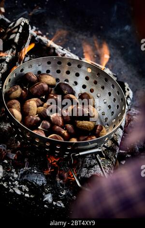 Châtaignes fraîches rôties dans un grillage de métal sur des charbons ardents sur un feu de barbecue pour un snack-automne sain Banque D'Images