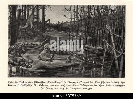 Vue sur un marais de crocodiles, Allemagne du sud, période du Trias. Belodon de type crocodile et un grand dinosaure prédateur de l'époque. Illustration par Hugo Wolff-Maage de Wilhelm Bolsches Das Leben der Urwelt, Prehistal Life, Georg Dollheimer, Leipzig, 1932. Banque D'Images