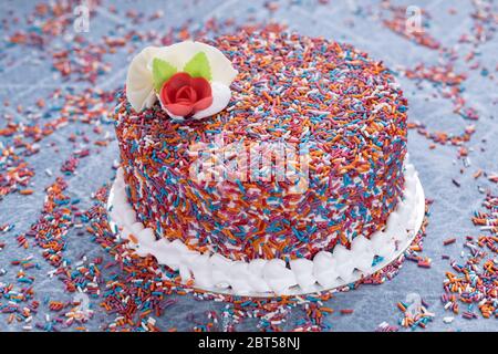 Gâteau en marbre arc-en-ciel avec garniture de fleurs artificielles et crème fouettée bordure sur une table bleue Banque D'Images