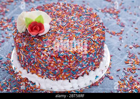 Gâteau en marbre arc-en-ciel avec garniture de fleurs artificielles et crème fouettée bordure sur une table bleue Banque D'Images