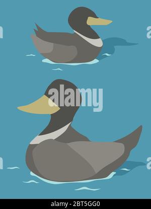 Canards nageant, dessin animé vectoriel couleur illustration verticale Illustration de Vecteur