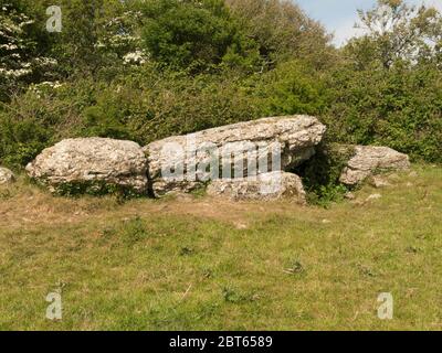 Chambre Burial de Coed y Glyn Monument mégalithique néolithique. Vestiges de la chambre funéraire au bord d'une terrasse en calcaire sur l'île Benllech d'Anglesey Banque D'Images