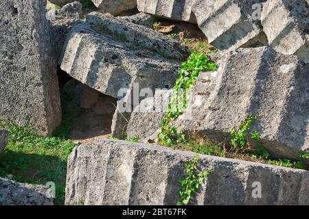 Ruines antiques du Temple de Zeus à Olympia, Grèce. Vue détaillée d'une colonne interrompue. Le site des Jeux Olympiques anciens est situé sur le Péloponne Banque D'Images