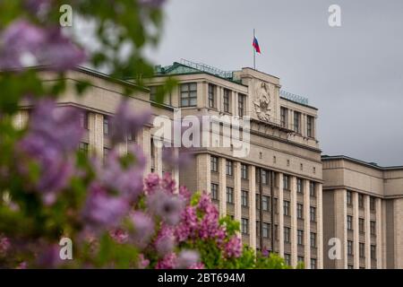 Vue de la façade de la Douma d'Etat de la Fédération de Russie sur fond de lilas à fleurs à Moscou, Russie Banque D'Images