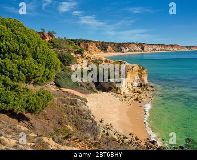 Une crique rocheuse avec Praia da Falesia en arrière-plan, Albufeira, Algarve, Portugal Banque D'Images