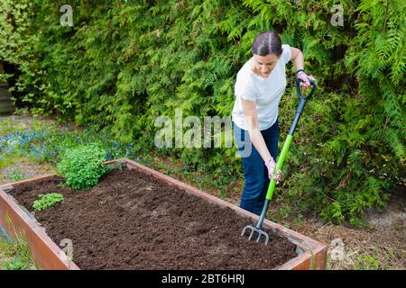Femme qui desserre le sol avec une fourche pour cultiver des légumes et des herbes dans une caisse en bois - un jardin potager Banque D'Images