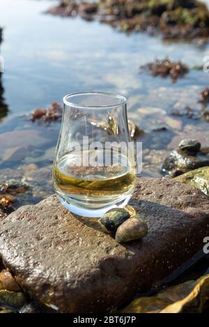 Dégustation de whisky écossais et de fond de la mer pendant la marée basse, whisky fumé associé aux huîtres Banque D'Images