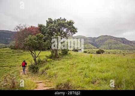 Un randonneur avec un sac à dos rouge vif sur un sentier dans un pré dans la réserve naturelle de Monks Cowl, dans le Drakensberg central, Afrique du Sud Banque D'Images