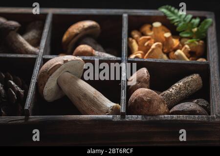 Divers champignons sauvages recueillis dans une ancienne boîte en bois Banque D'Images