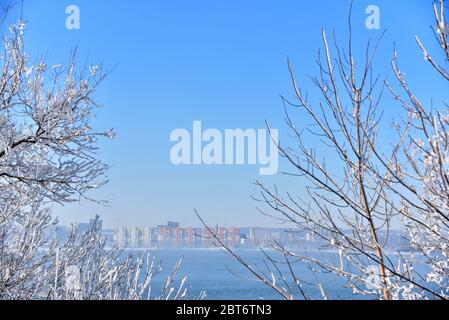 Ville de Magnitogorsk entre les arbres gelés en hiver. Russie Banque D'Images