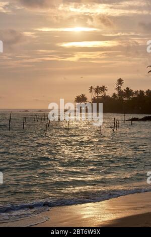 Photo nocturne de la côte à Polhena, Sri Lanka, avec des poteaux utilisés par les pêcheurs locaux et des palmiers en silhouette. Banque D'Images