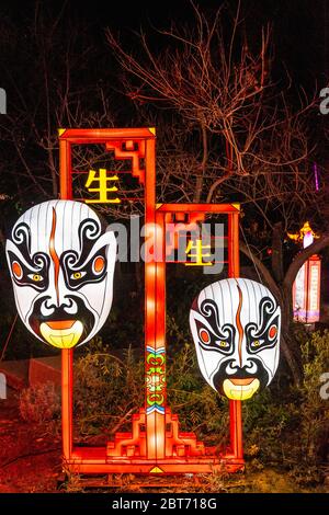Nice, France, 5 janvier 2020 – des lanternes chinoises colorées sont affichées au festival « Baie des lumières » du Parc Phoenix Banque D'Images