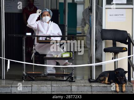 Guwahati, Assam, Inde. 23 mai 2020. Un travailleur de la santé portant un équipement de protection individuelle au bureau de réception de l'hôpital Mahendra Mohan Choudhury (MMCH) à Guwahati. Crédit : David Talukdar/ZUMA Wire/Alay Live News Banque D'Images