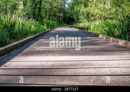 6 vue basse le long de la promenade en bois à tréeline le long de la rivière Bure dans le village de Norfolk Hoveton et Wroxham au coeur du Norfolk B Banque D'Images