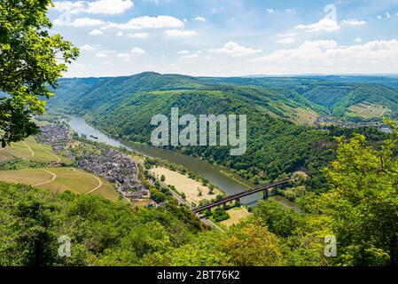 Beaux vignobles en pleine saison au printemps dans l'ouest de l'Allemagne, la Moselle qui coule entre les collines. Pont ferroviaire visible au-dessus du ri Banque D'Images