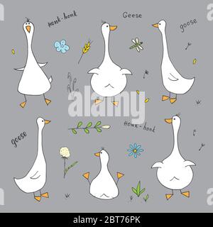 Ensemble de gribouillages à motif de poule. Joli croquis de bernaches. Illustration du vecteur de dessin animé . Illustration de Vecteur